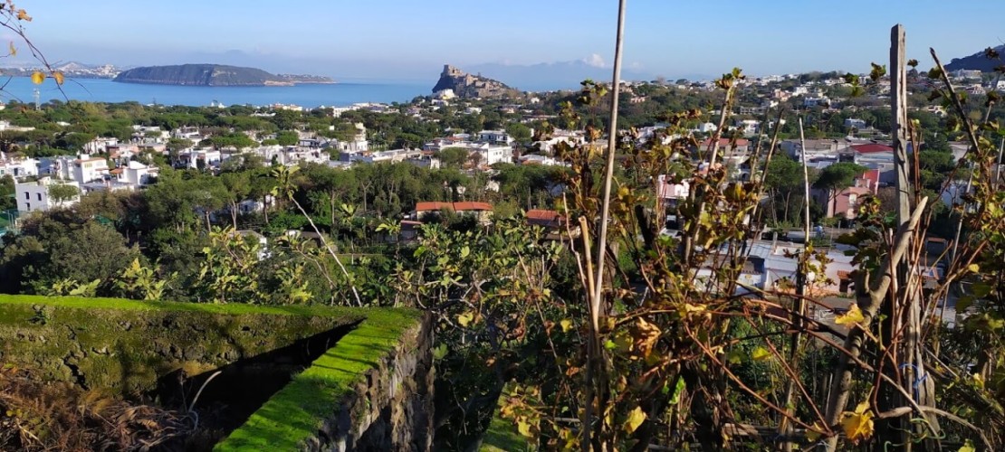 What to do in Ischia in january