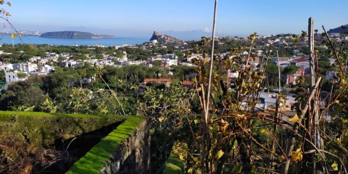 Things to do in January in Ischia