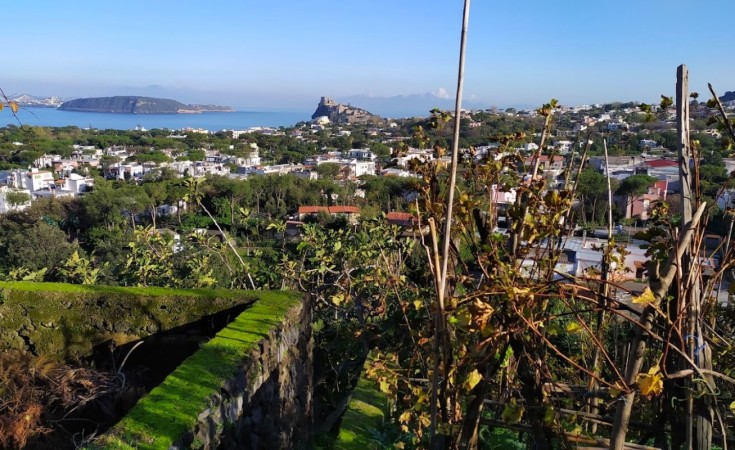 What to do in january in Ischia