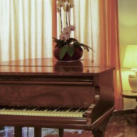 Hotel La Luna hall details