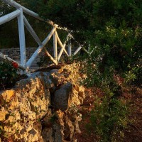 Marenea Suite Hotel