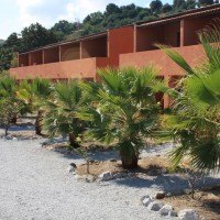 Fruit Village Torre Sant'Irene