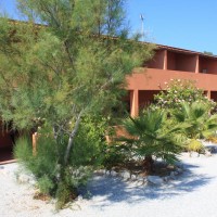 Fruit Village Torre Sant'Irene