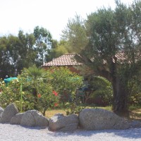 Fruit Village Torre Sant'Irene