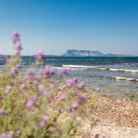 Liscia Eldi Resort Residence