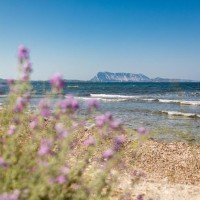 TH Liscia Eldi Resort