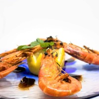 Hotel Terme Royal Palm