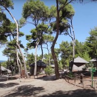 TCI Isole Tremiti