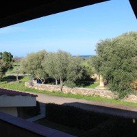 Residence Oasi