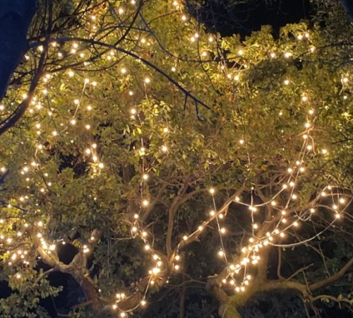 Christmas lights in Ischia