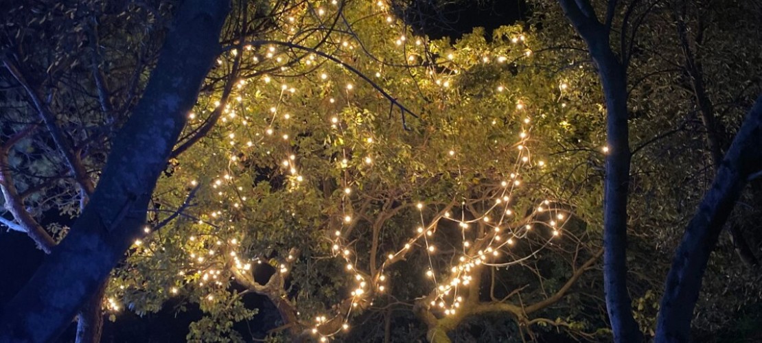 Christmas lights in Ischia