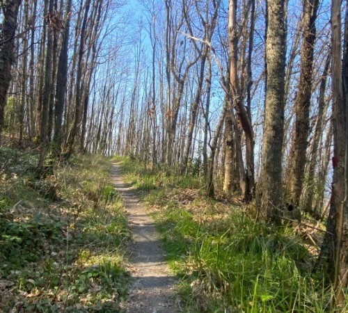 Mount Epomeo path in Ischia