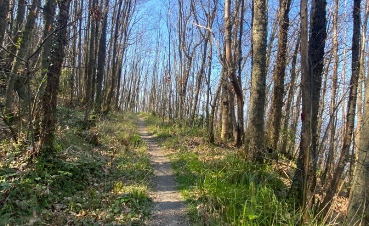 Mount Epomeo path in Ischia