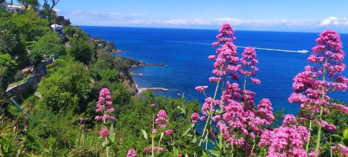 What to do in June in Ischia