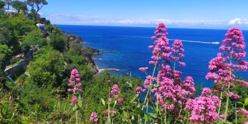 What to do in June in Ischia