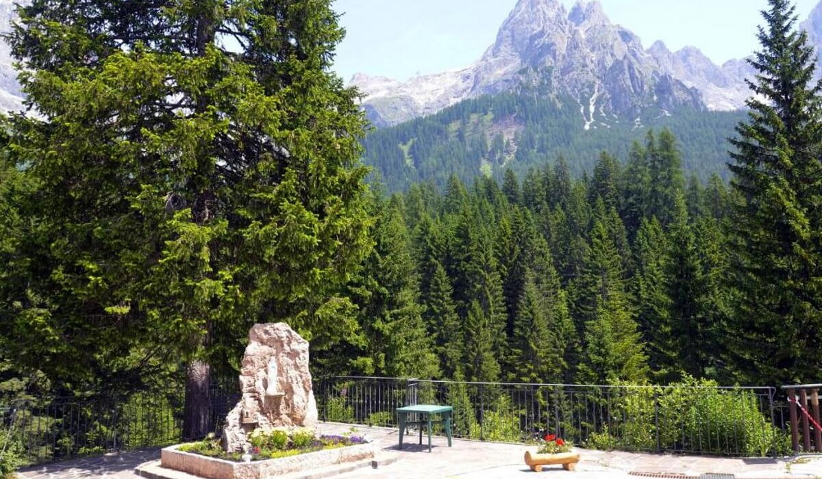 Hotel Fratazza - Forest of fir trees with the Dolomites in the background