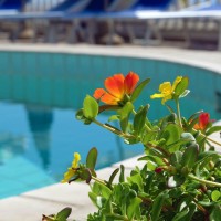 Hotel La Ginestra