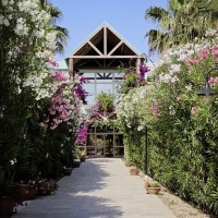 Minerva Club Resort