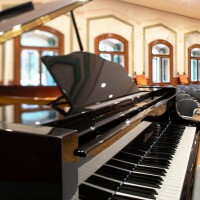 TH Borca  Park Hotel Des Dolomites
