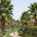 Fruit Village Torcito Resort Sport Village