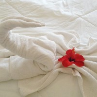 Hotel Antica Marina
