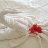 Hotel Antica Marina