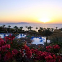 Albatros Royal Grand Sharm