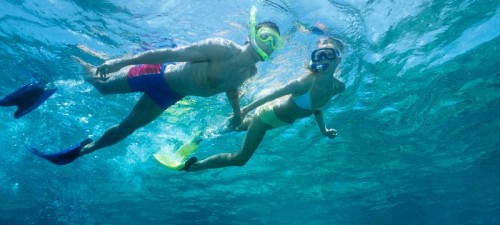 Diving in the Azores Islands