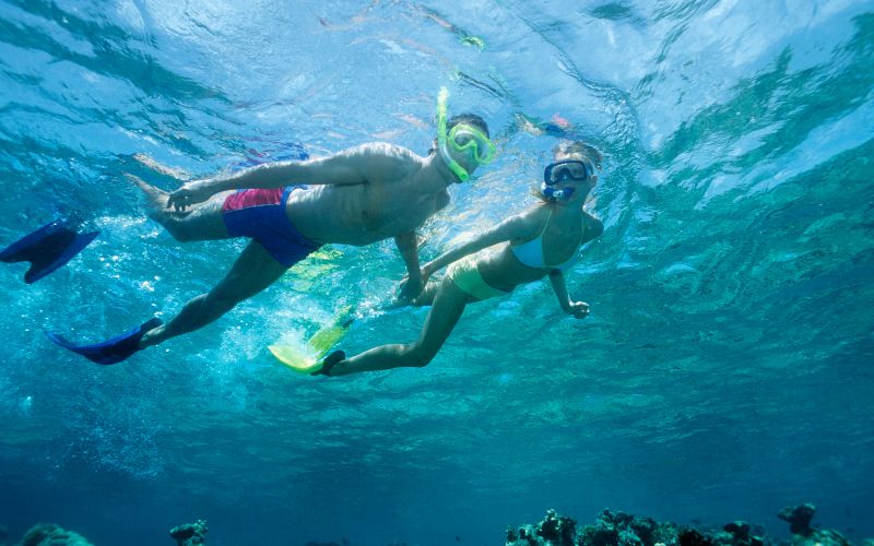 Diving in the Azores Islands