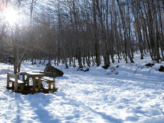 Apulia Hotel Europa Gran Sasso - The woods and winter trails