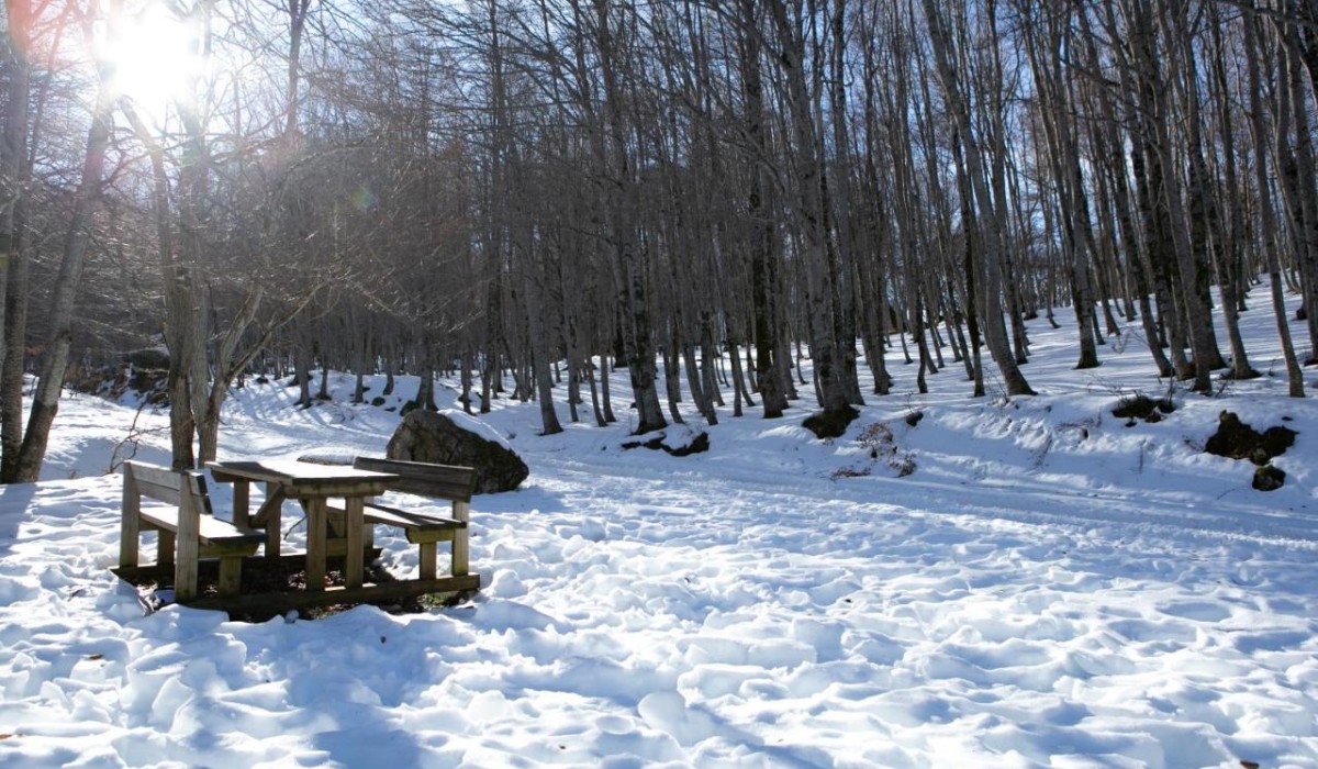 Apulia Hotel Europa Gran Sasso - The woods and winter trails