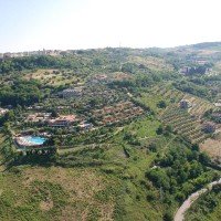 View from the drone of the Silvi hill, the structure with the centenary olive trees is highlighted