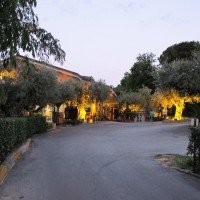 Driveway to main building and reception