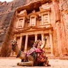 Spectacular view of two beautiful camels in front of Al Khazneh (The Treasury) in Petra