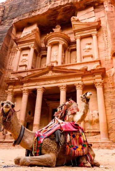 Spectacular view of two beautiful camels in front of Al Khazneh (The Treasury) in Petra