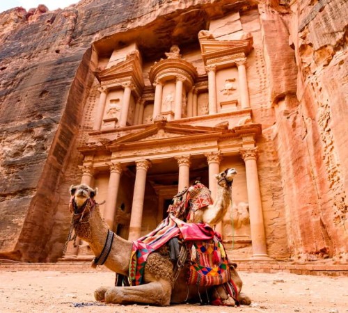 Spectacular view of two beautiful camels in front of Al Khazneh (The Treasury) in Petra