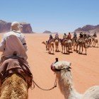 Camel ride in the Wadi Rum desert in Jordan