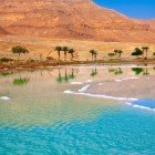 View of the Dead Sea with palm trees and mountains in the background in Jordan