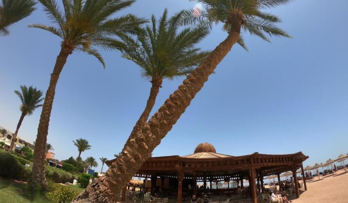 Regency Plaza Aqua Park & Spa Resort - Immagine 10