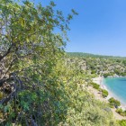 Ilgin Bay in Turkey is surrounded by lush vegetation, with pines, olive trees, and Mediterranean scrub creating a green and thriving landscape.