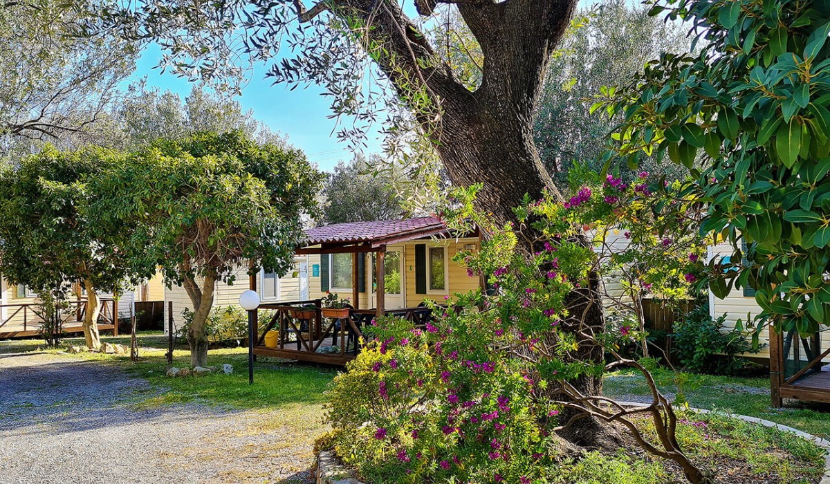 Batuca Village - swimming pool Batuca Village - swimming pool