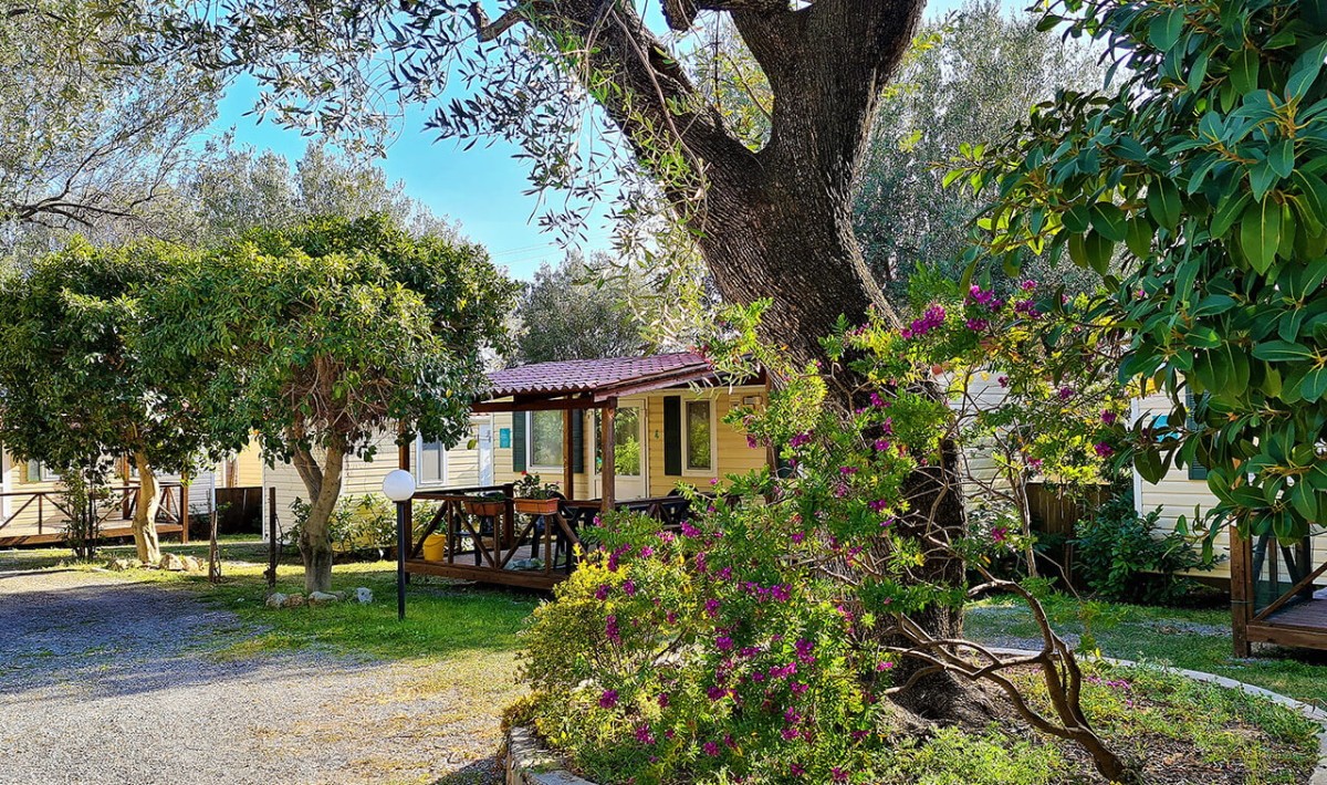 Batuca Village - garden