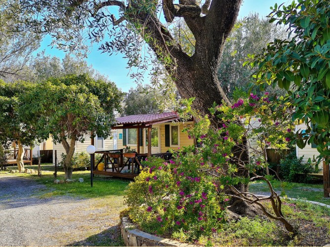 Batuca Village - garden