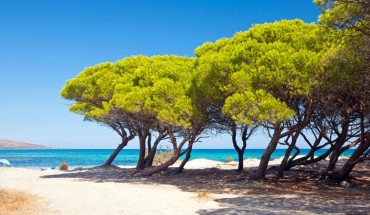 Futura Club Cala Fiorita
