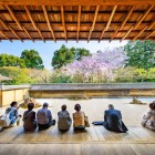 Ryoan-ji Temple, famous for its Zen garden, offers a stunning view of cherry blossoms. The garden, a masterpiece of Zen landscaping, represents the essence of Japanese minimalism.