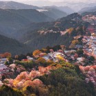 From above, Nara in spring is enchanting: historic temples, Nara Park, and cherry blossoms create a serene landscape that blends nature and Japanese tradition.