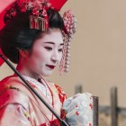 The geisha is an iconic figure of Japanese culture, with traditional kimono and hairstyle. She is skilled in arts such as dance, music, and poetry, entertaining guests with grace and ability.