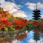 Nara, Japan – the historic wooden pagoda of To-ji Temple is reflected in the Sagiike Pond. A symbol of Japanese culture, embodying ancient tradition and spirituality.