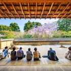 Ryoan-ji Temple, famous for its Zen garden, offers a stunning view of cherry blossoms. The garden, a masterpiece of Zen landscaping, represents the essence of Japanese minimalism.