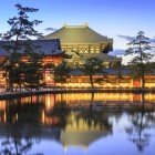 Todai-ji at dusk offers a breathtaking view: the golden light enhances the temple's majesty, creating an atmosphere of peace and deep spirituality in Nara.
